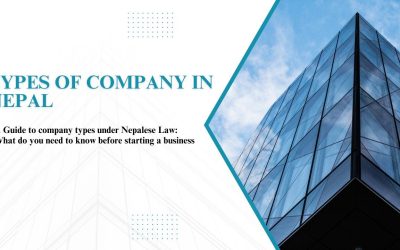 Types of Companies in Nepal